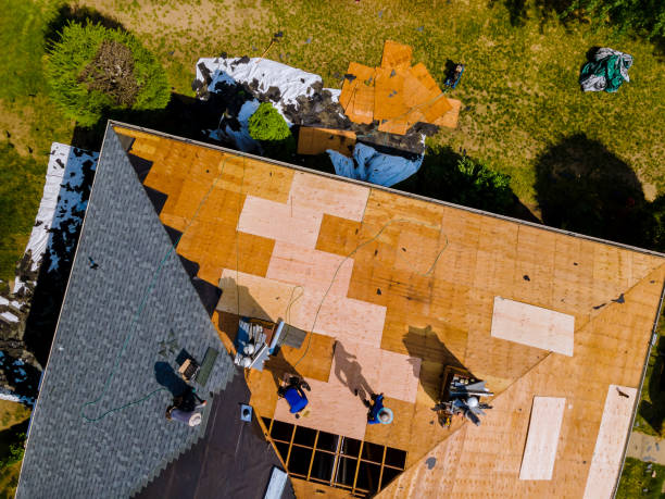 Best Flat Roof Repair Services  in Naranja, FL