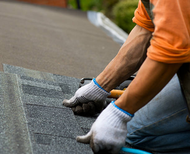 Best New Roof Installation  in Naranja, FL